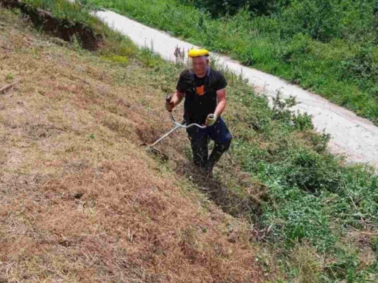 Ognjen Milanovic - Odrzavanje dvorišta