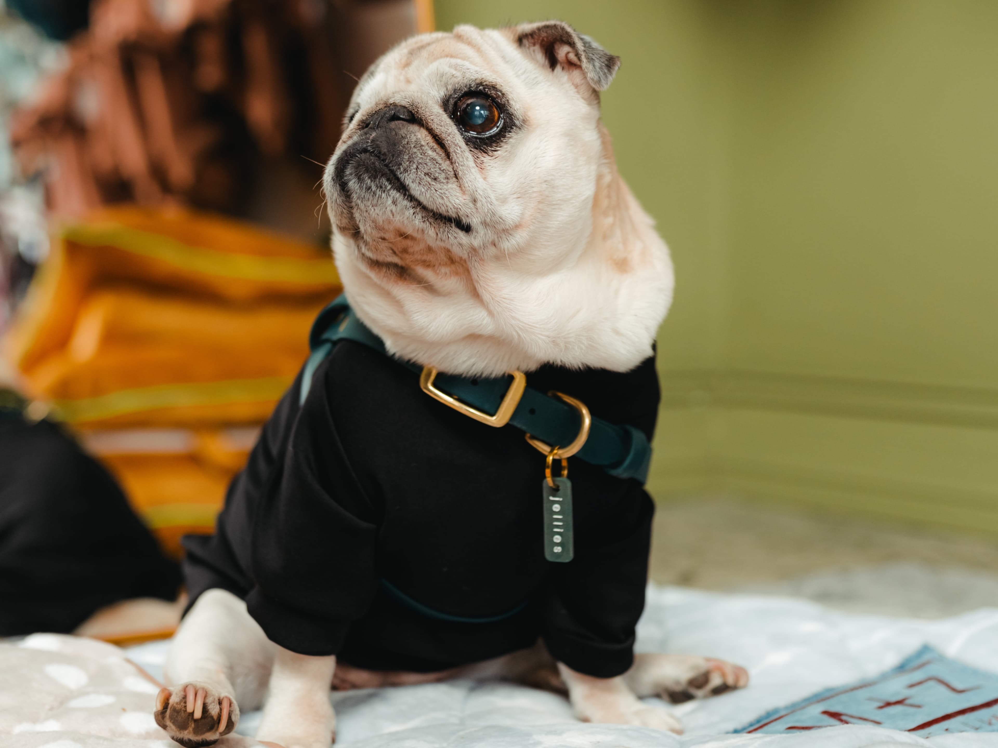 Maza's Concept Store 4